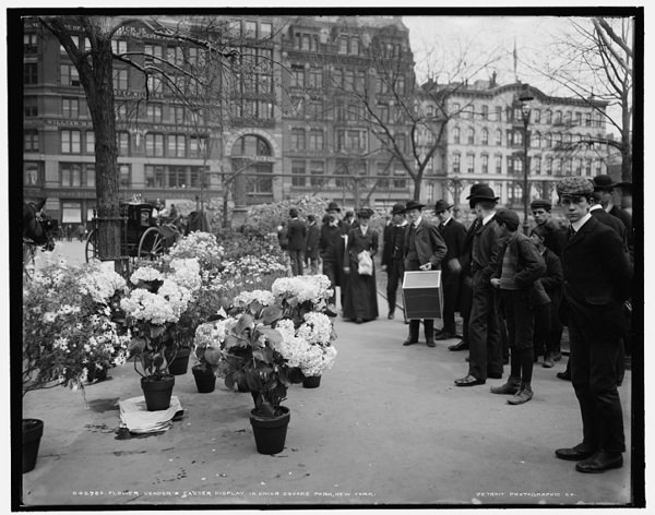 #40 Union Square flower market, 1900’s