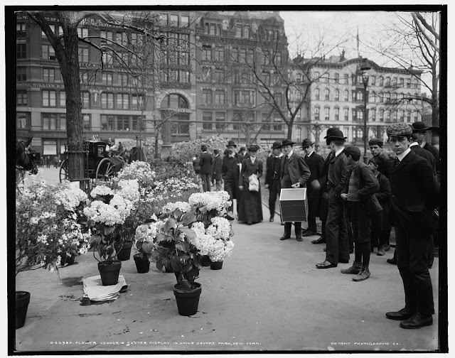 #42 Union Square, flower market, 1900s