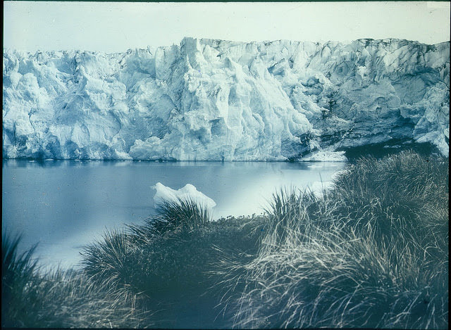#44 Glacier in New Fortuna Bay, 1915