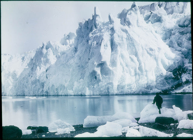 #45 New Fortuna Glacier, 1915