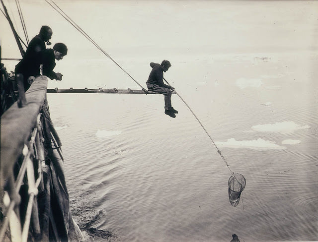 #5 Hamilton hand-netting for macro-plankton from Aurora, 1912