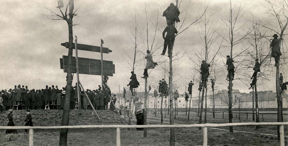 #8 Belgian fans watching a game against Holland from the trees in 1913