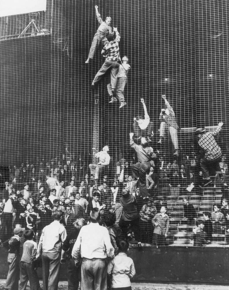 #26 Baseball fans climb the netting to retrieve a foul ball, causing a stoppage of play in a game between the Philadelphia Athletics and the Cleveland Indians at Shibe