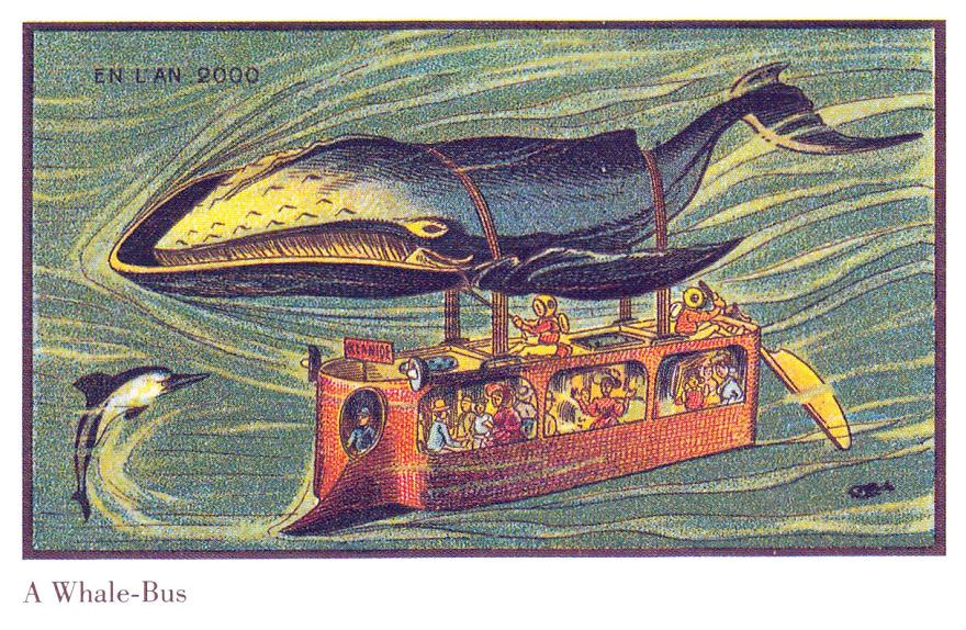 #75 Whale Bus