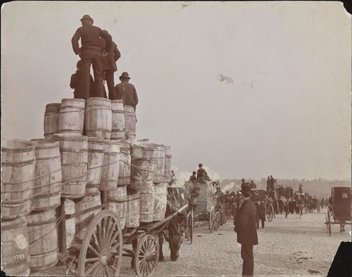 #17 Harlem River Bridge overlooking Manhattan Field, 1895