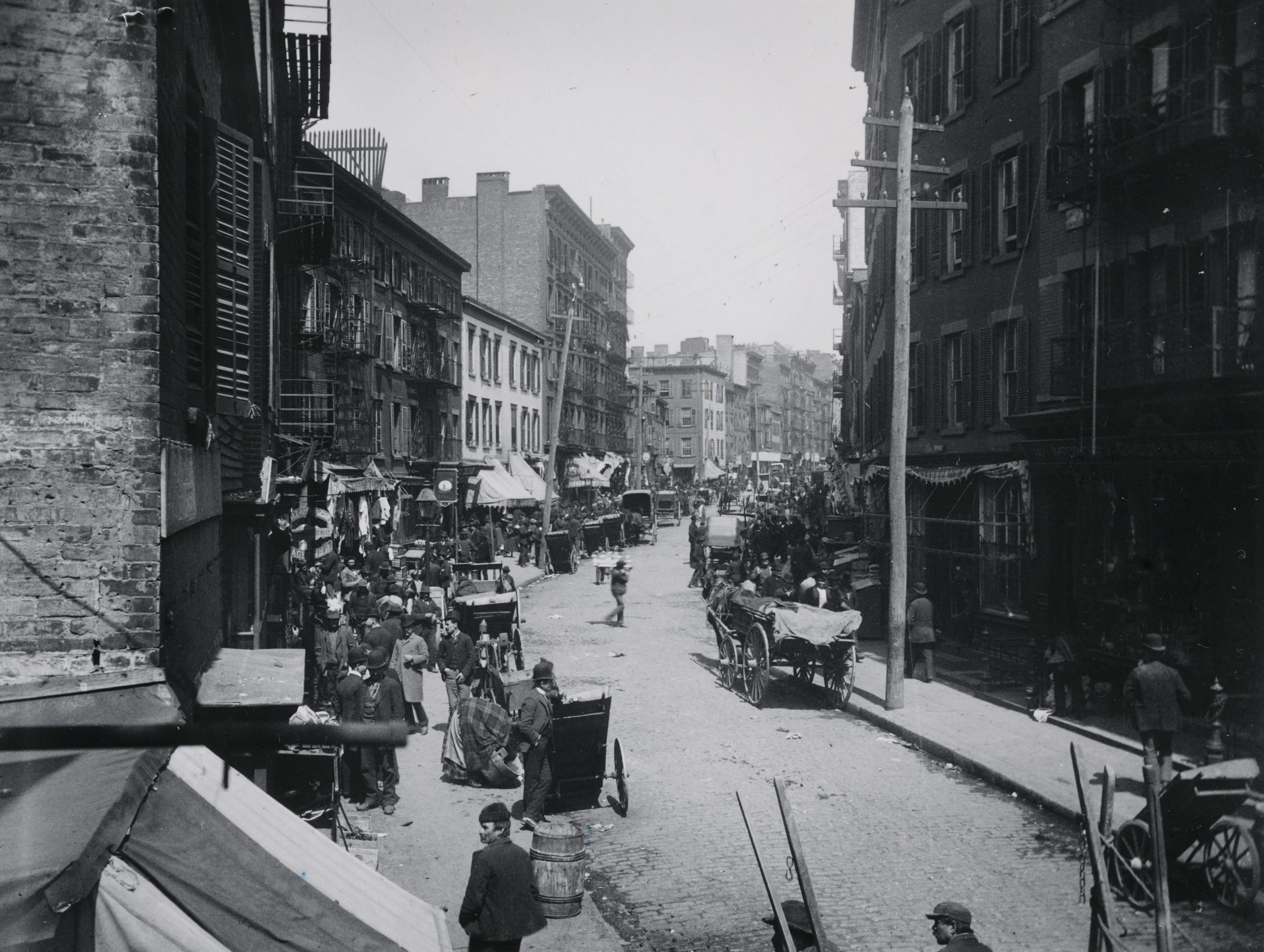 #71 Mulberry Bend, 1890
