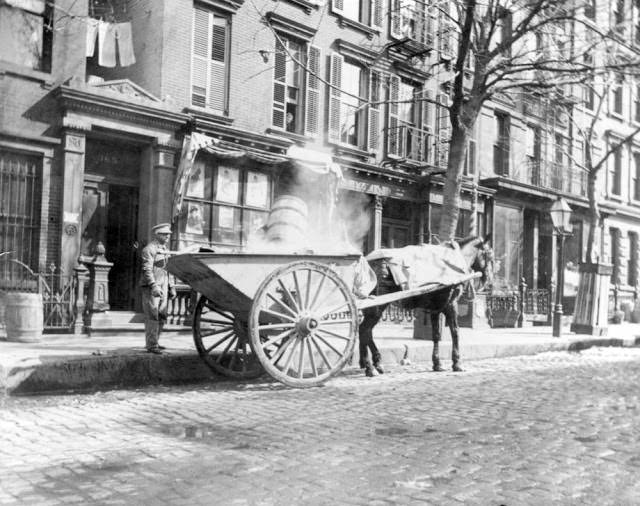 #64 Horse-drawn ash cart. New York City, 1896