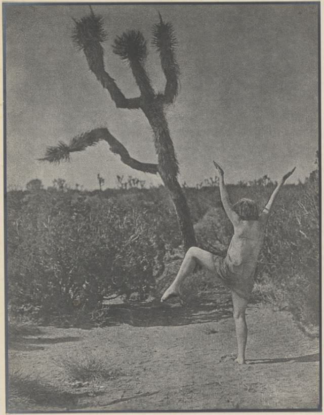 #64 Dancing Master, 1930