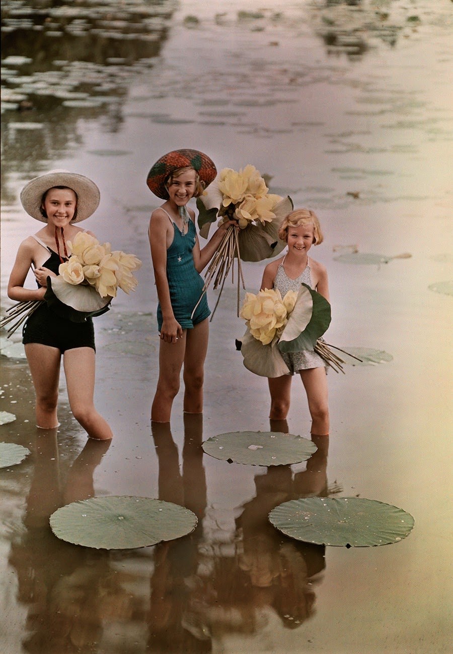 #15 Girls standing in water holding bunches of American Lotus, Amana, Iowa, 1938