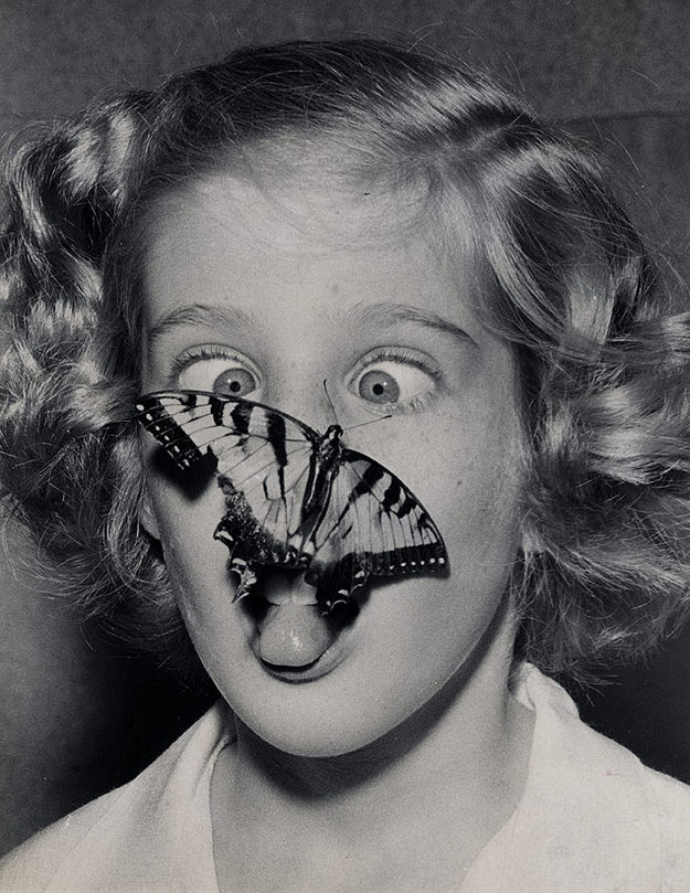 #7 A butterfly captured by Susan Bermann, flutters out of its jar and lands on her nose.