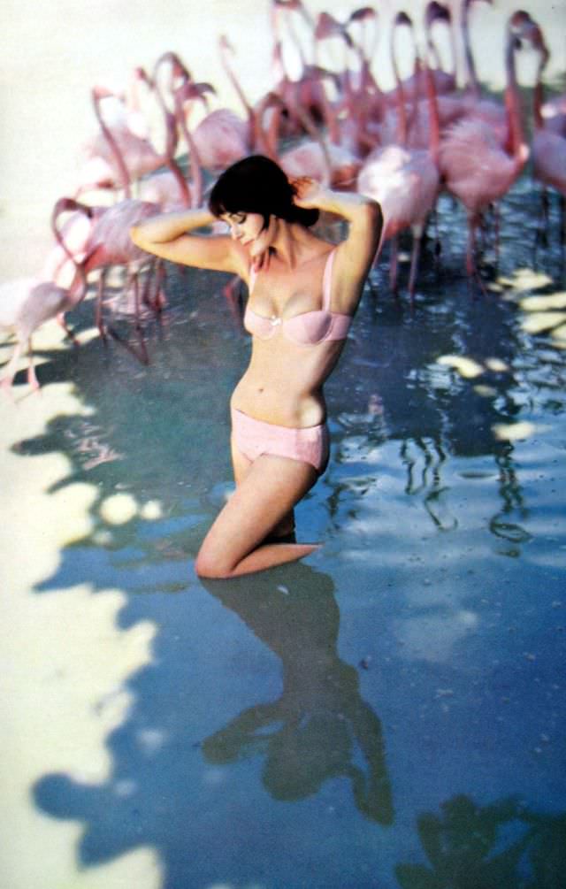 #10 Carmen in a two-piece suit by Tiktiner, 1959.