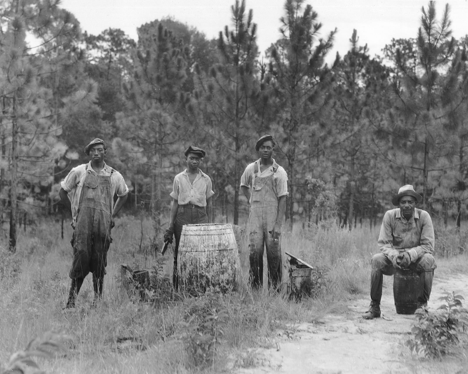 #2 Workers extracting turpentine in a Georgia forest, 1930s