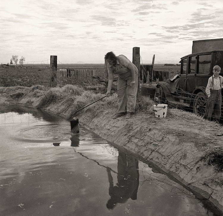 #50 Water supply: an open settling basin from the irrigation ditch in a California squatter camp near Calipatria