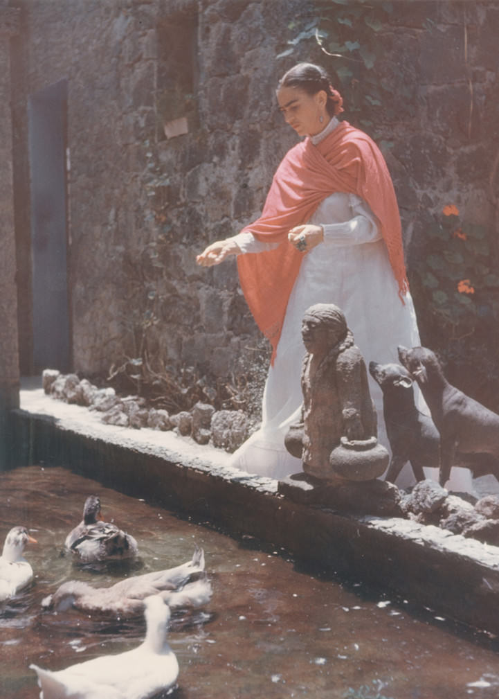 The Life Of Frida Kahlo: 50+ Rare Photos That Give A Rare Insight Into Her Life Celebrities