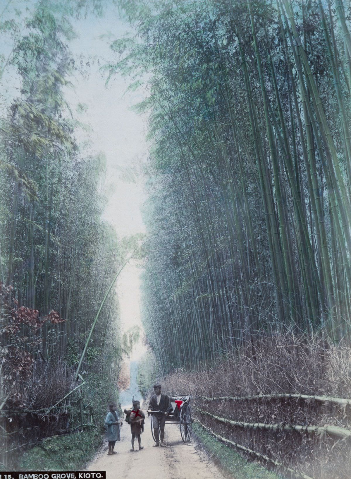 #4 Bamboo Grove, Kioto