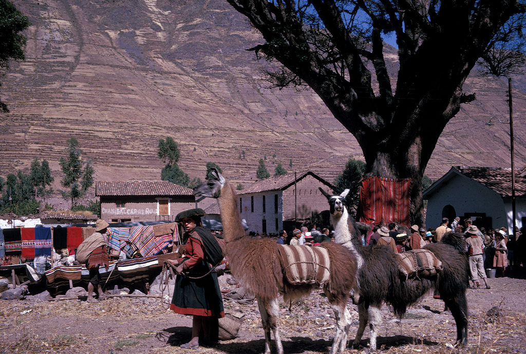 #31 Pisac, Paru, 1963