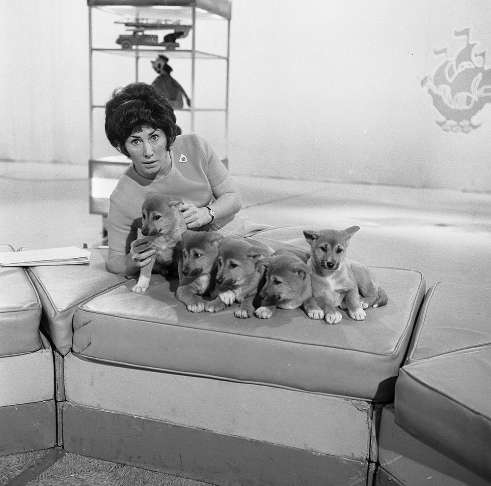 #21 Valerie Singleton with her 5 puppies