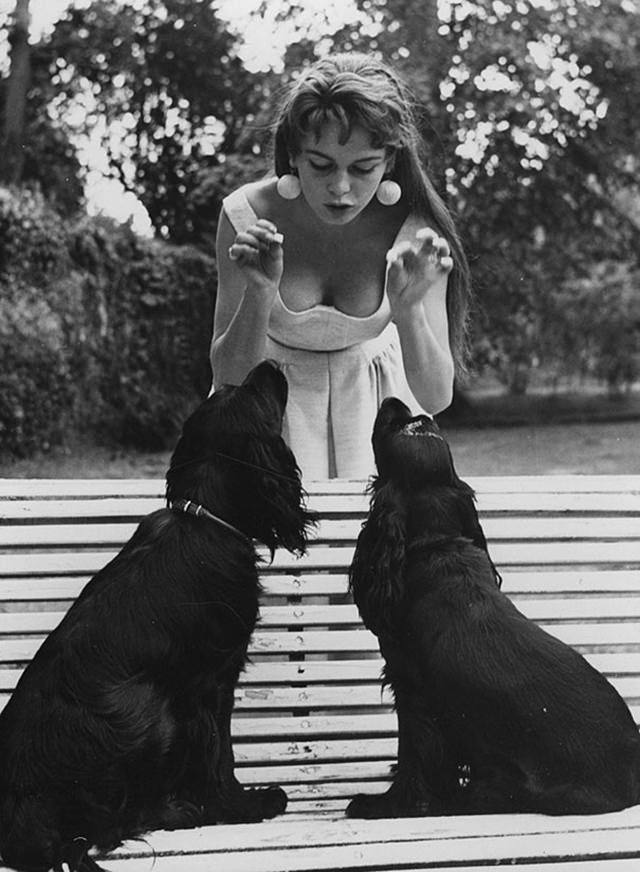 #37 Brigitte Bardot and her black spaniels