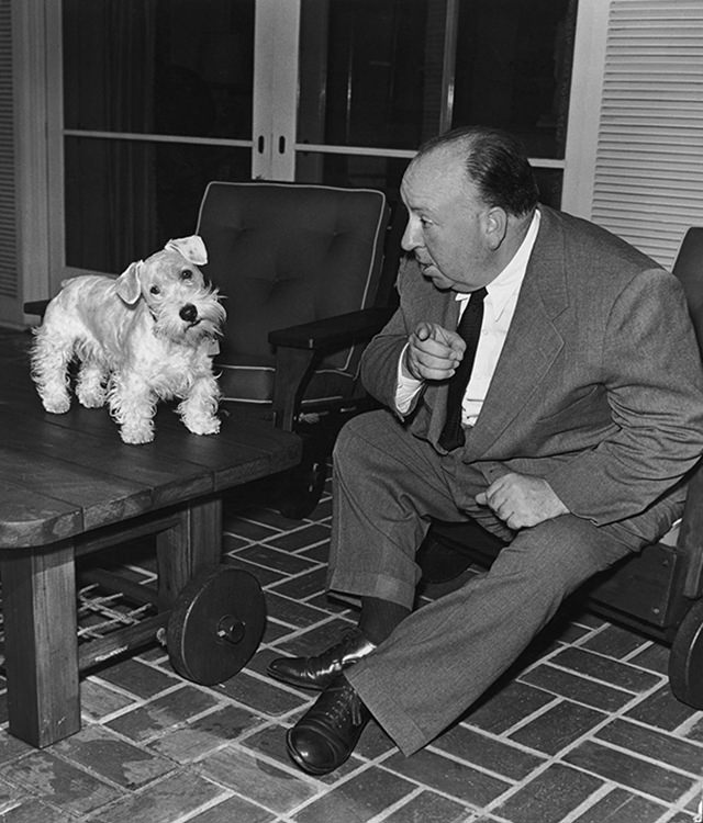 #4 Alfred Hitchcock with his Sealyham terrier Sarah