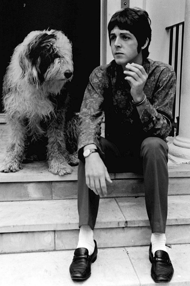 #41 Paul McCartney and his sheepdog Martha