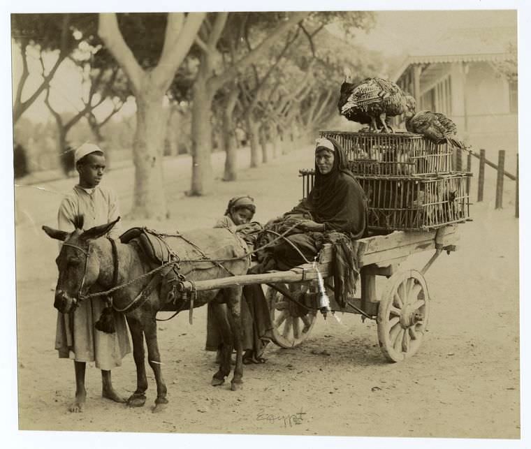 #26 People with their donkey cart
