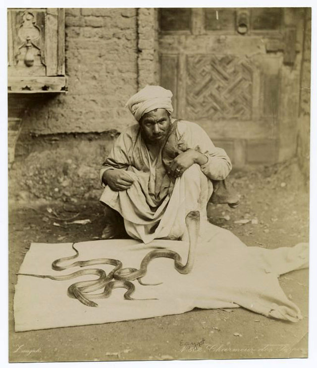 #33 Snake charmer