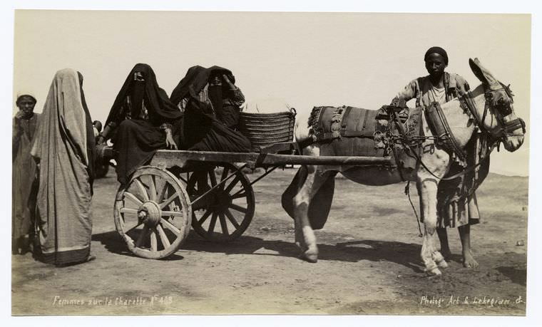 #54 Women with their donkey cart