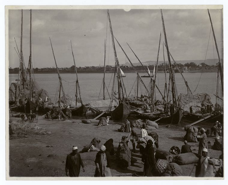 #8 Feed boats (trodden straw) unloading on the Nile, Egypt