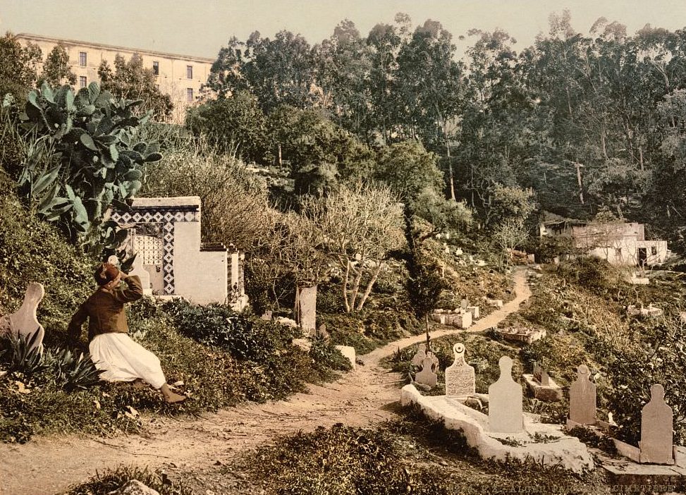 #12 The cemetery, Algiers, Algeria