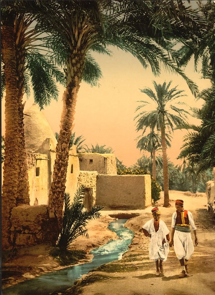 #44 Street in the old town, II, Biskra, Algeria