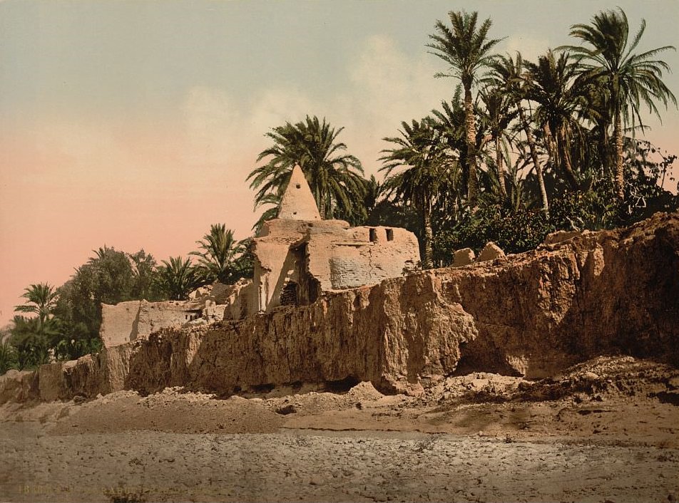 #62 Marabut near Biskra, Algeria