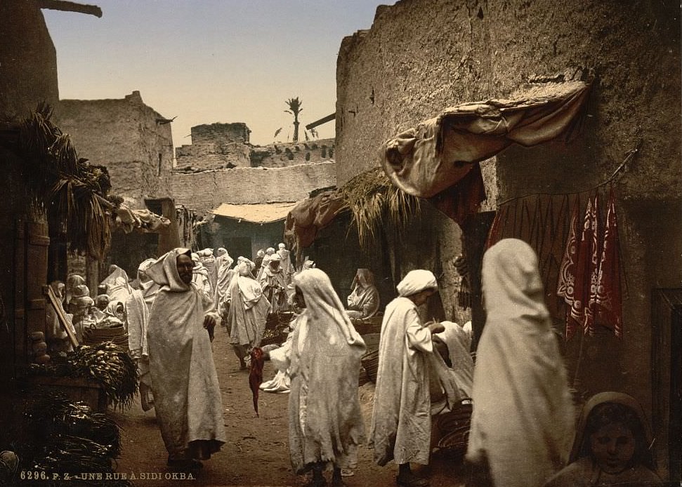 #50 A street, Sidi Okba, Algeria