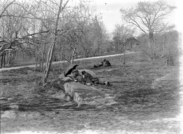 #20 Resting in a park in Helsinki