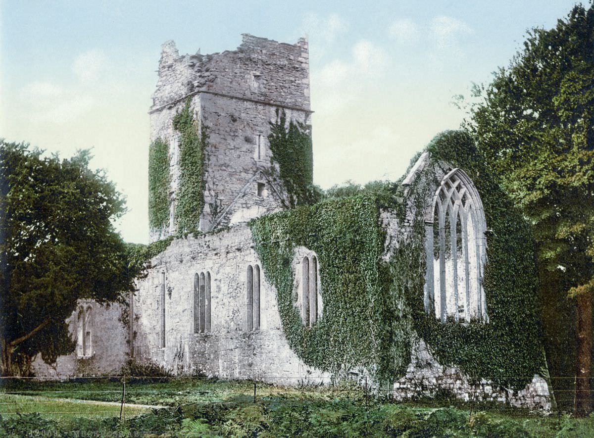 #38 Muckross Abbey, Killarney, County Kerry.