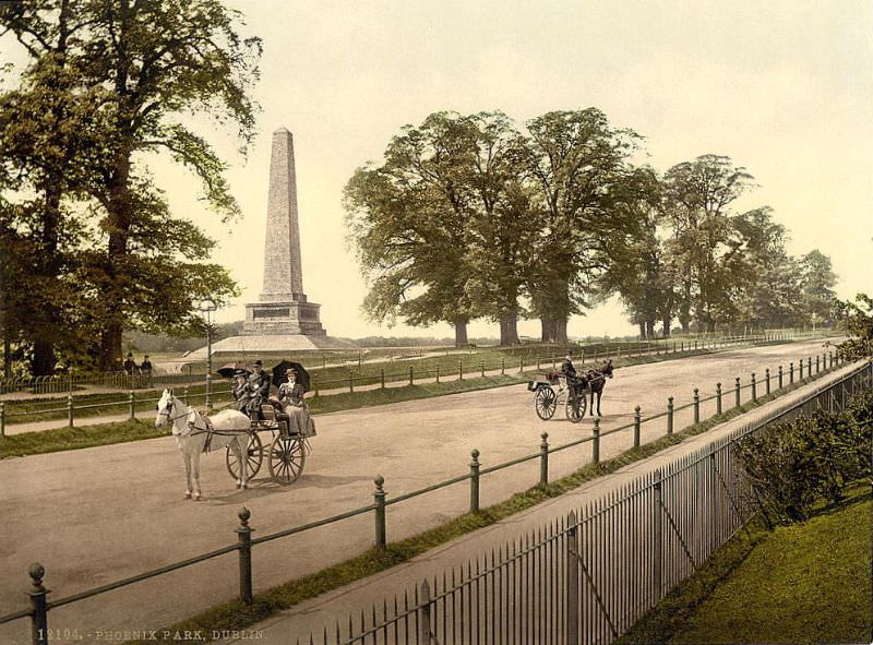 #6 County Dublin. Phoenix Park, Dublin