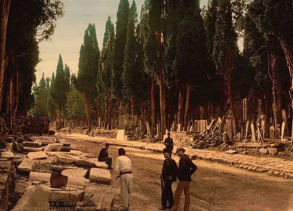 #22 Cypresses and road leading to the cemetery, Scutari, Constantinople, Turkey