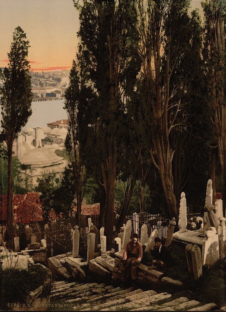 #37 A part of the Eyoub (i.e., Uyüp) cemetery, II, Constantinople, Turkey