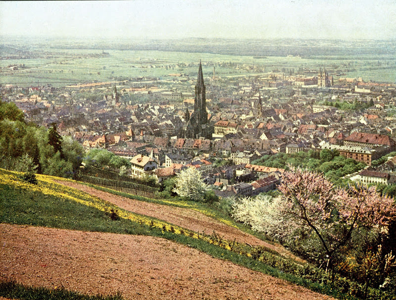#29 Freiburg