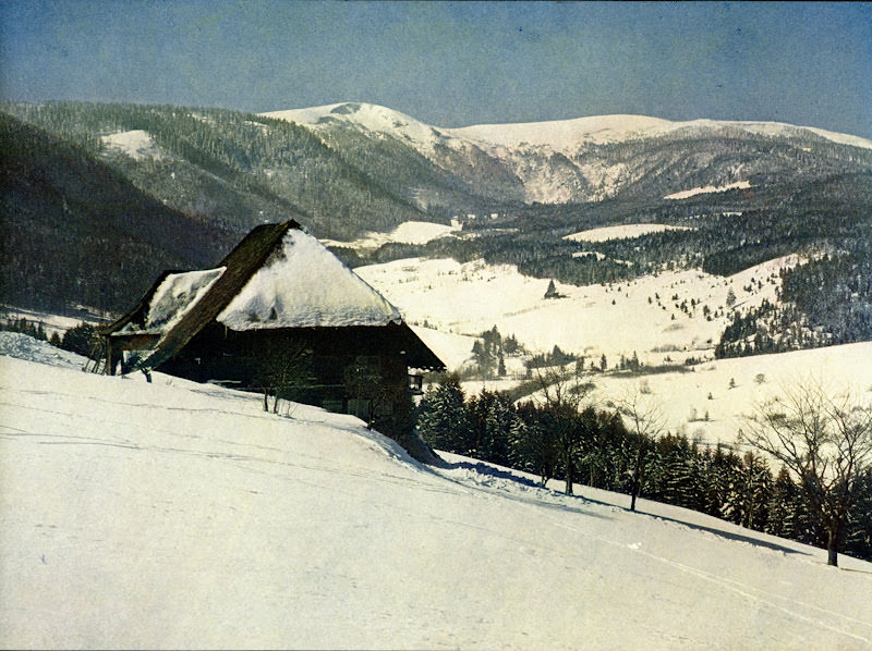 #8 Bärental Schwarzwald