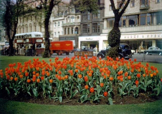 #22 Princes Street looking east, Edinburgh, circa 1960