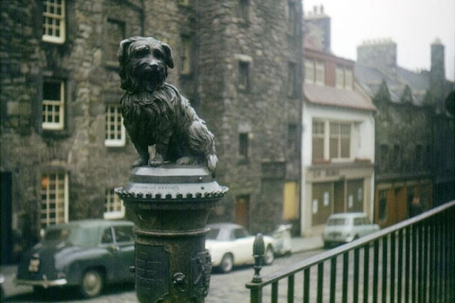 #50 Greyfriars Bobby, George IV Bridge, Edinburgh, circa 1963