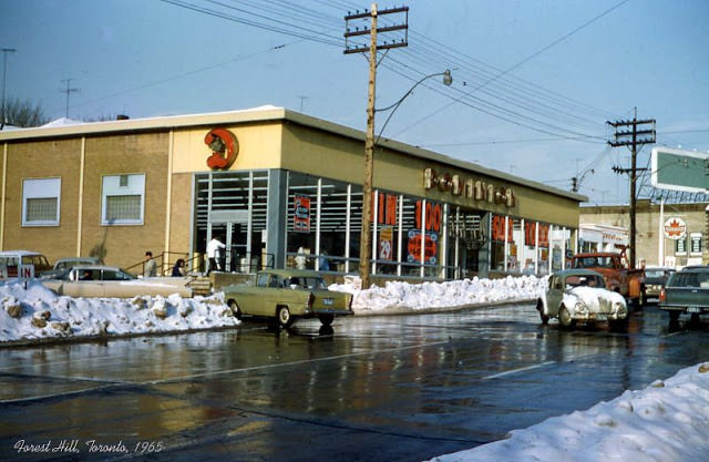 #4 Forest Hill Dominion, Toronto