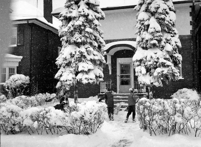 #96 Toronto in winter