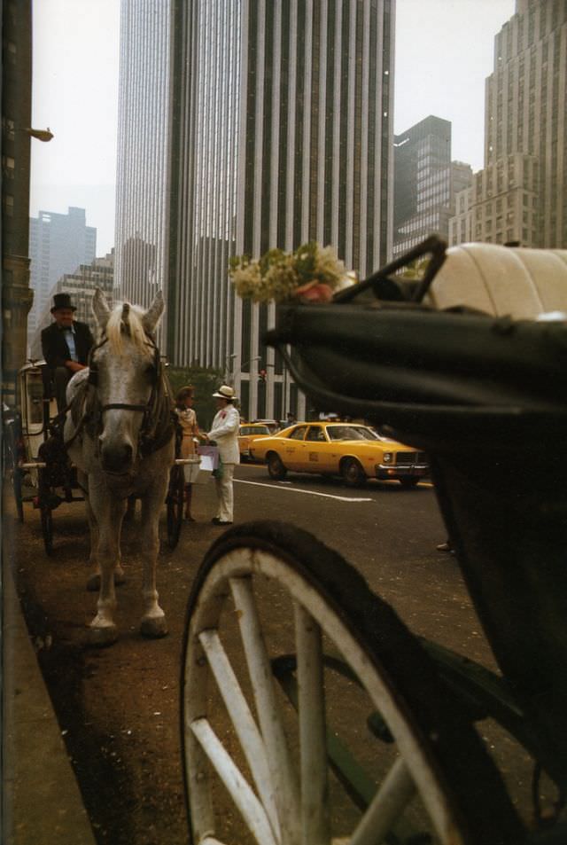#24 West 59th Street, photographed by Bernard Herrmann, 1977
