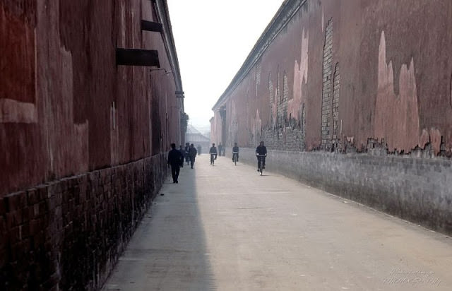 #15 Beijing. Pedestrians and bicycle riders in the Forbidden City