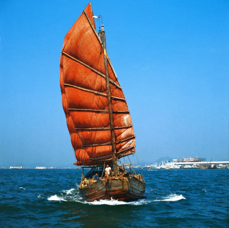 #20 Mong Kok Street, 1978