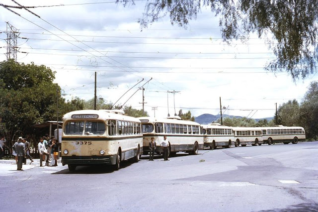 #21 Mexico City. Line up of trolleybuses outside University of Mexico