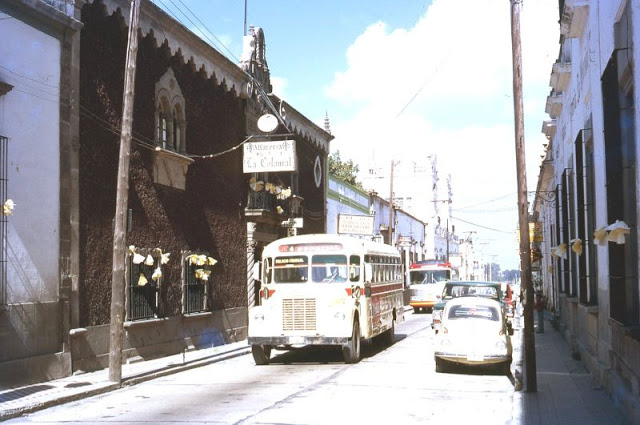 #45 Tequila. Mexican buses