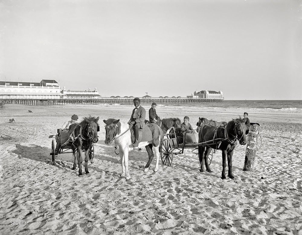 #59 The Jersey Shore circa 1905. Ponies on the beach — Atlantic City.