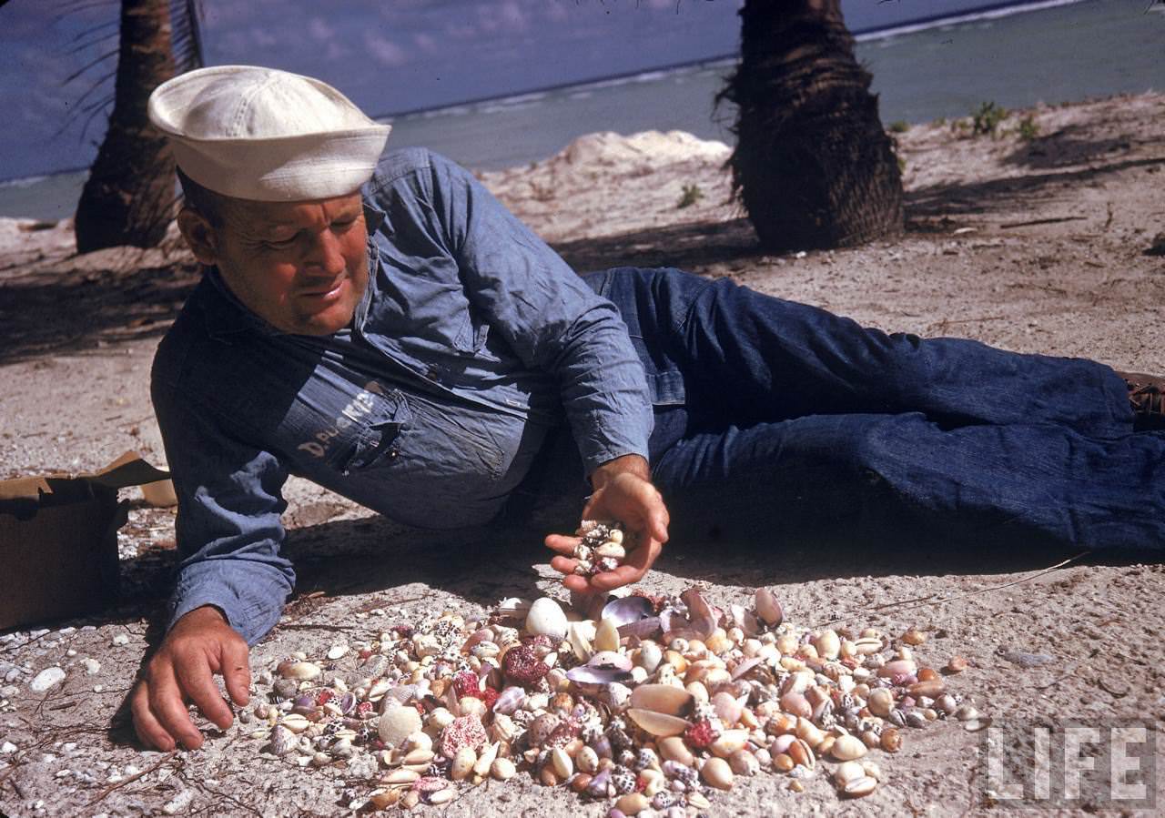 #33 US sailor looking at sea shells he has collected while posted on Tarawa during WWII.